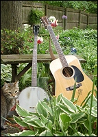 Picture of banjo and guitar